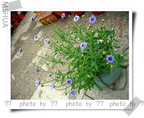 IMG_1562.jpg