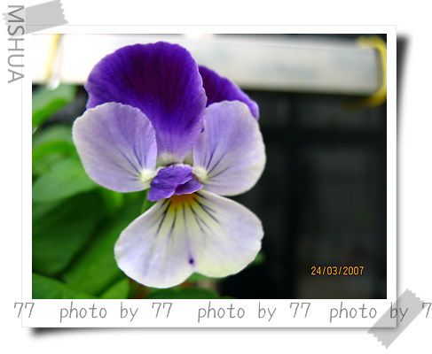 IMG_1581.jpg