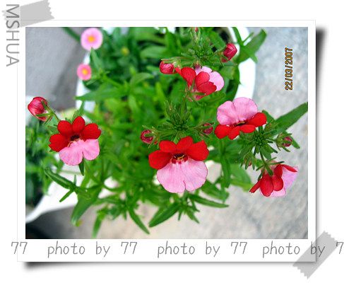 IMG_1483.jpg