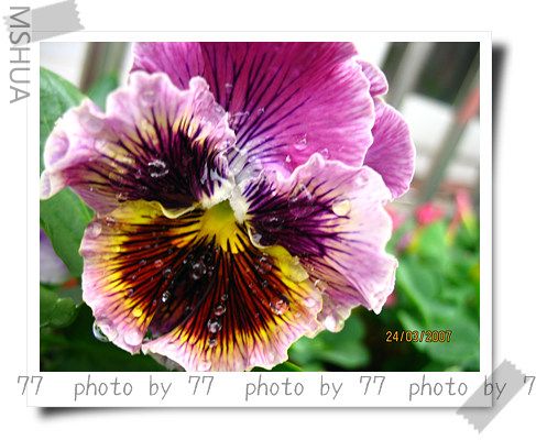 IMG_1571.jpg