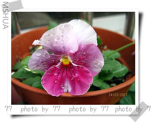 IMG_1574.jpg