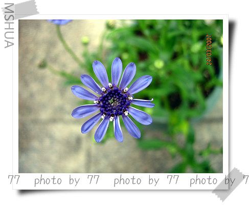 IMG_1563.jpg