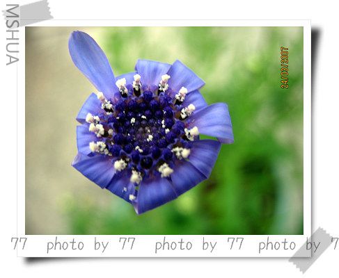 IMG_1564.jpg
