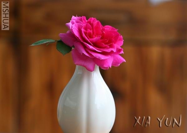 IMG_6462 ����2.jpg