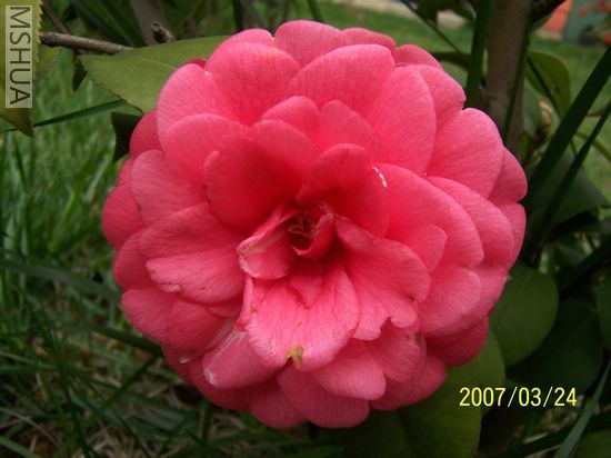 2007-03-24 019.jpg