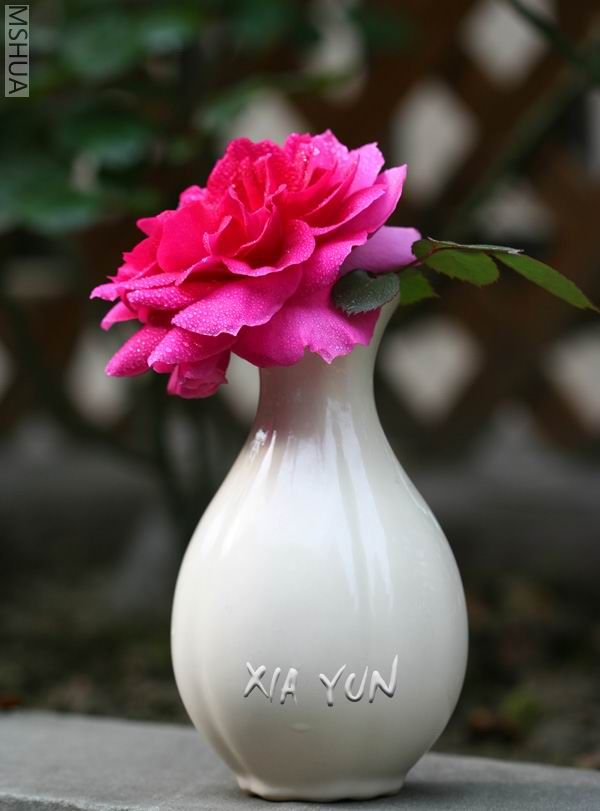 IMG_6507 ����3.jpg