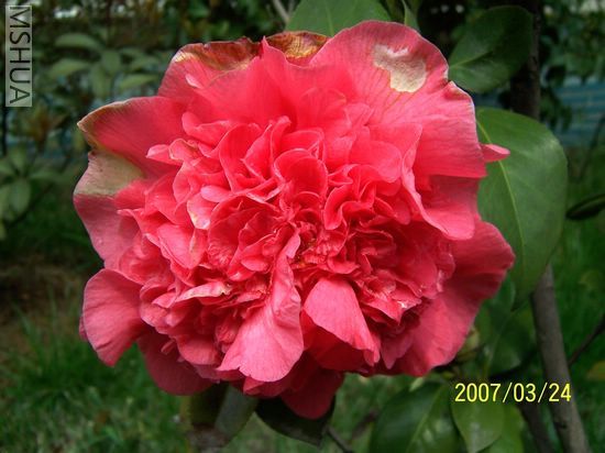2007-03-24 010.jpg