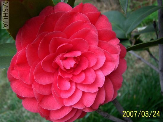 2007-03-24 009.jpg