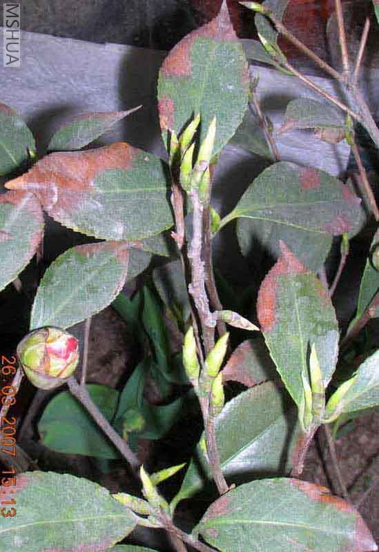 DSCN2999.JPG