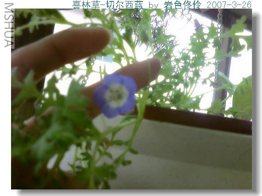 ������ָ��һ��:)