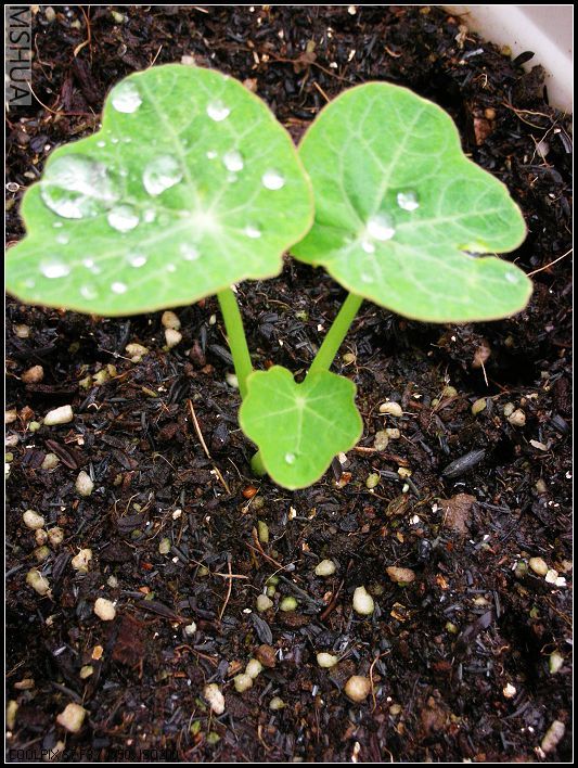 2007.3.24 096_nEO_IMG.jpg