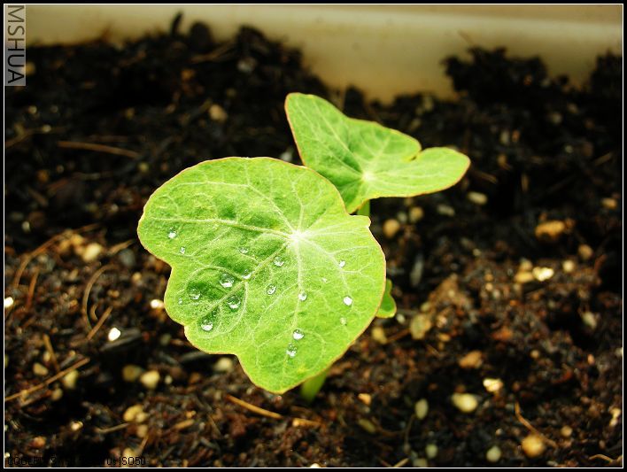 2007.3.24 028_nEO_IMG.jpg