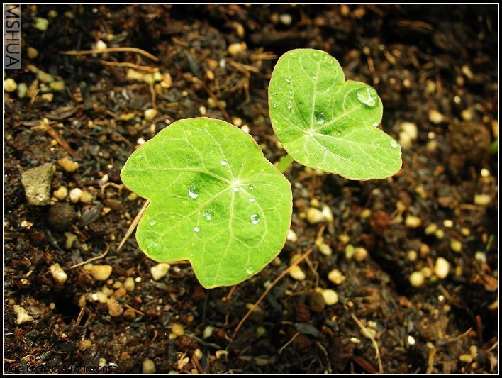 2007.3.24 029_nEO_IMG.jpg