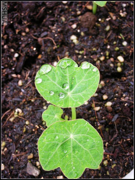 2007.3.24 098_nEO_IMG.jpg