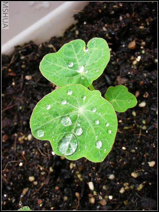 2007.3.24 099_nEO_IMG.jpg