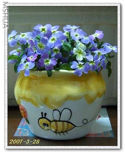 ��������