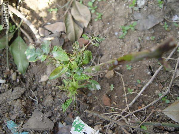 DSC08900_������С.jpg