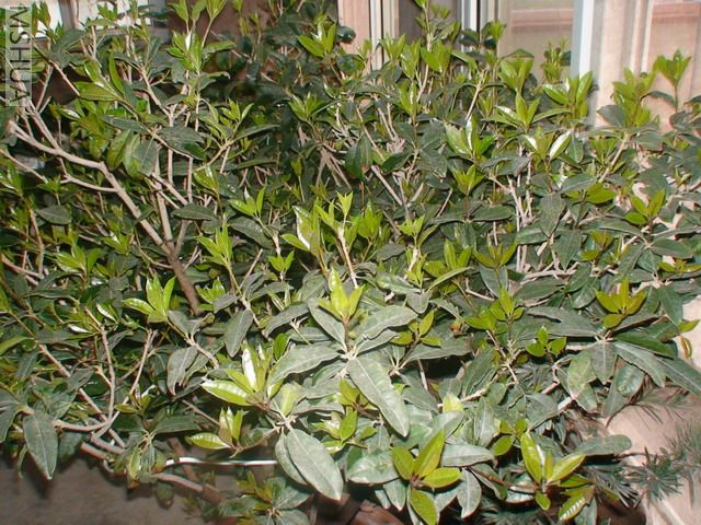 DSC03075.jpg