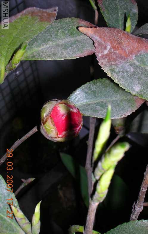 DSCN3008.JPG
