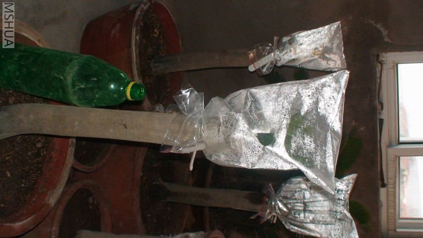 DSC03063.jpg