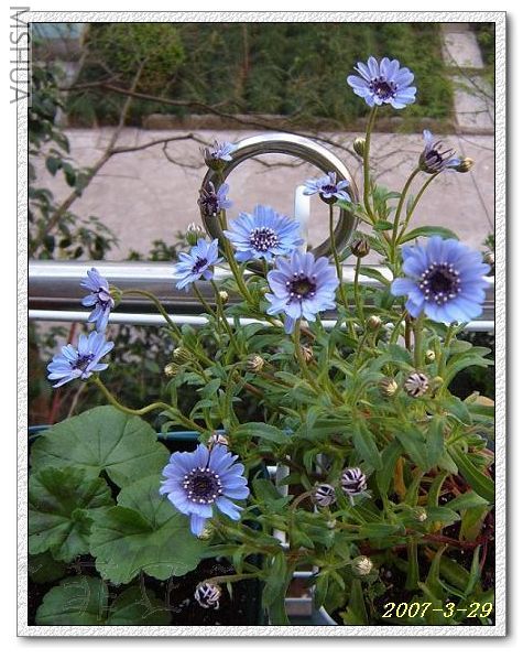 С����С��