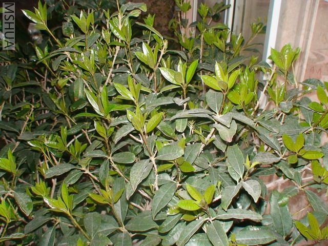 DSC03076.jpg