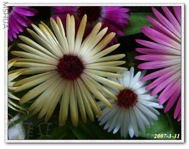 �����Ҳ����Ŷ