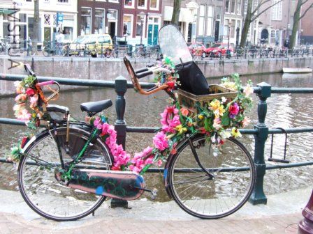   �ʻ� + ����