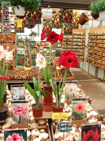 �������ĺ�