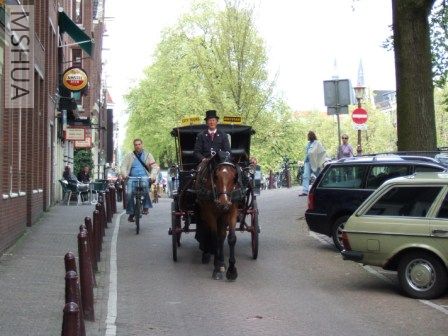 �����´�����,����һ�������͵Ĺ����ǵ������