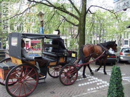 �ִ��Ķ�����,��������ʷ��������ɫ��