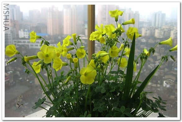 ���ʵ��¶ȣ����������