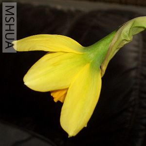 ���� ��Ƭ 017.jpg