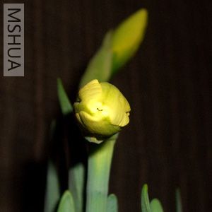 ���� ��Ƭ 003.jpg