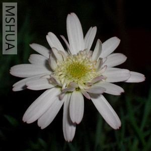 ���� ��Ƭ 009.jpg