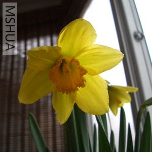 ���� ��Ƭ 015.jpg