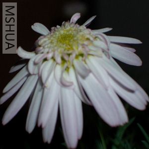 ���� ��Ƭ 011.jpg