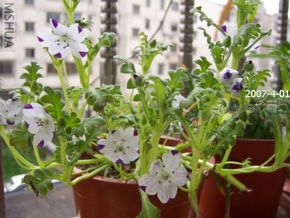 ��������Ŀ�������