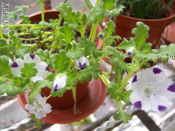 �ٶ࿪��Ŷ���Ҹ����Ǻȷʷ�