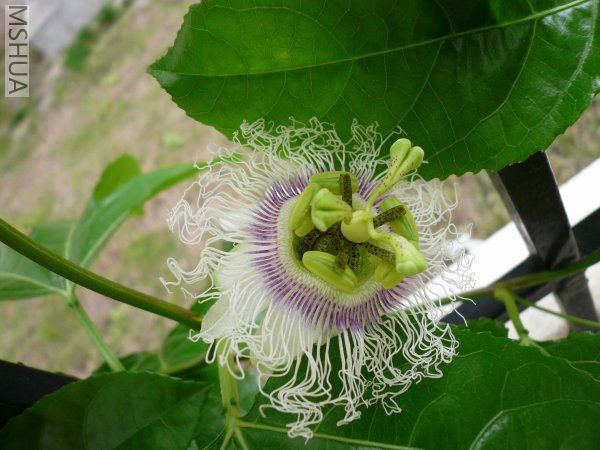 �������ر�