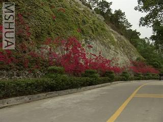 �컨��������÷