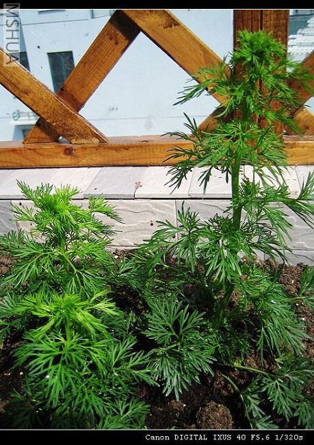 07.3.27 015_nEO_IMG.jpg