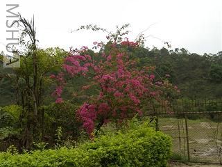 �컨��������÷