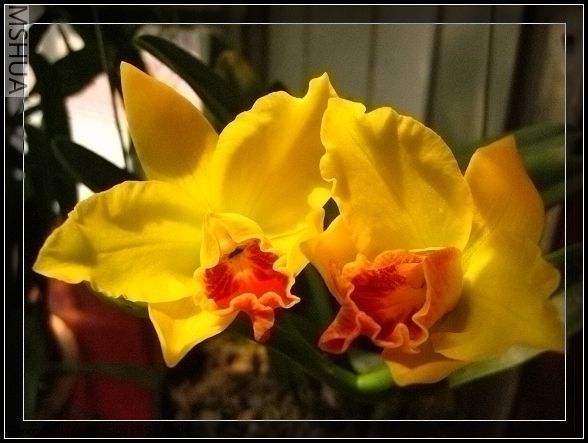 ��Ƭ 038.jpg