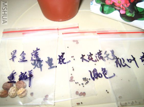 ��Ƭ 005_��С��С.jpg