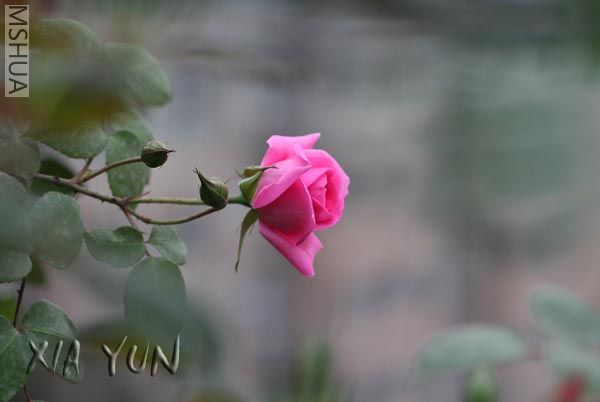 IMG_7288 ����.jpg