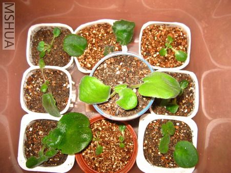 ��Ƭ 002_��С��С.jpg