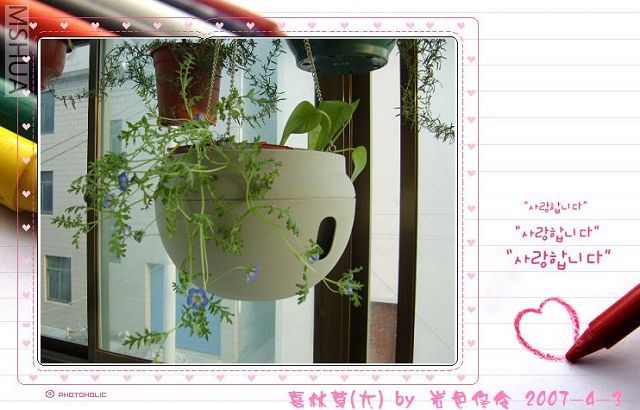 ���ŵ���ʹ�ϲ