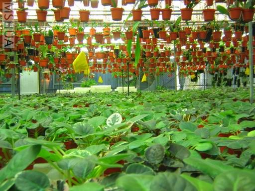 ���Ѿ��������ذ�Χ~ֻ��Ͷ��~����������Ƭ