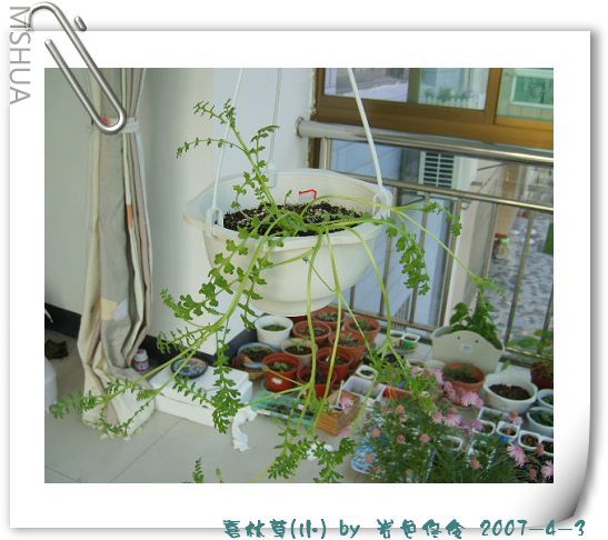 ���޵����Сϲ